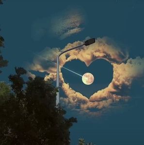 Meet your Posher, Kenneth